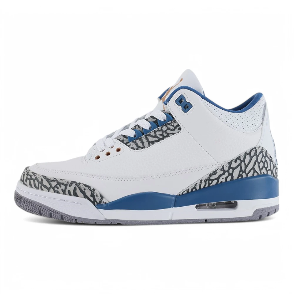 Air Jordan 3 Retro Washington Wizards