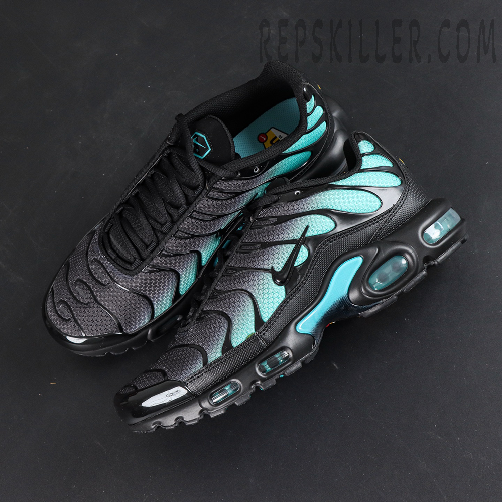 Air Max Plus Black Dusty Cactus