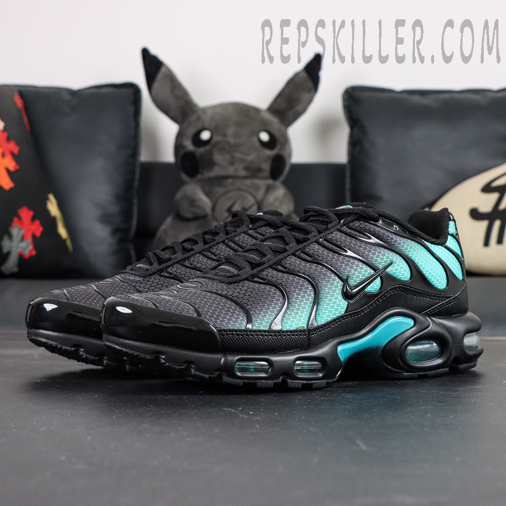 Air Max Plus Black Dusty Cactus