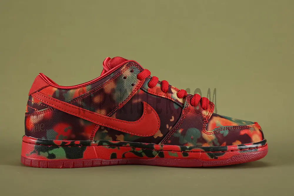 The Wizard Of Oz X Nike Sb Dunk Low