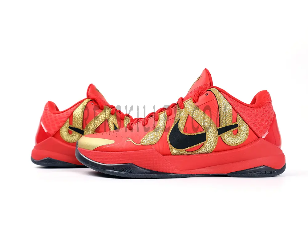 Kobe 5 Protro Year Of The Mamba University Red