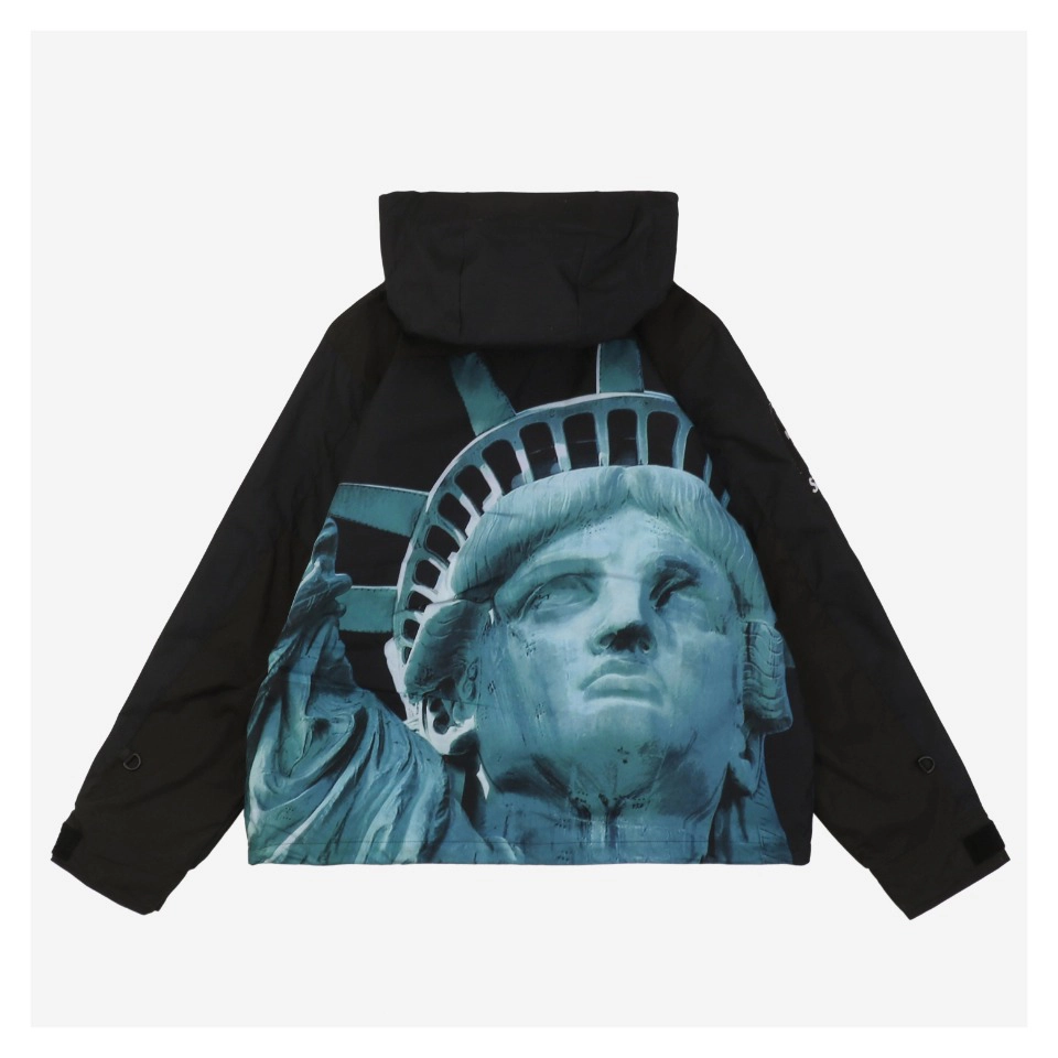 Sup X Tnf Statue Of Liberty Hooded Expedition Jacket Black