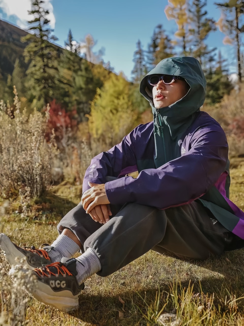 Acg Gore Tex Technical Hooded Shell Jacket Green Purple – Image 3 Acg Gore Tex Technical Hooded Shell Jacket Green Purple – Image 3