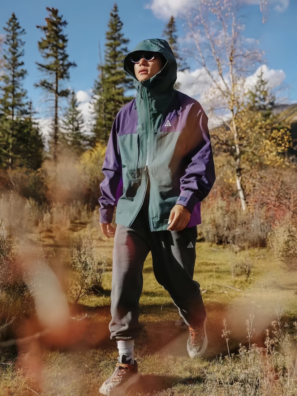 Acg Gore Tex Technical Hooded Shell Jacket Green Purple – Image 4 Acg Gore Tex Technical Hooded Shell Jacket Green Purple – Image 4